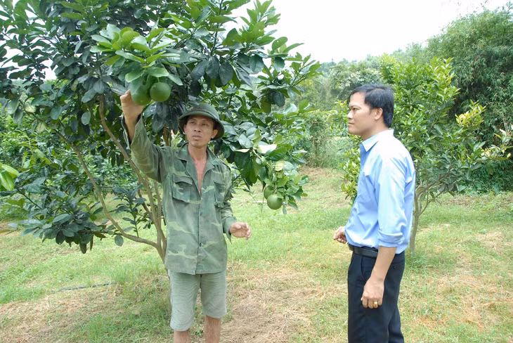 Cán bộ xã Tân Dân (huyện Hoành Bồ) năm tình hình phát triển vườn cây ăn quả của hộ nông dân trên địa bàn xã.