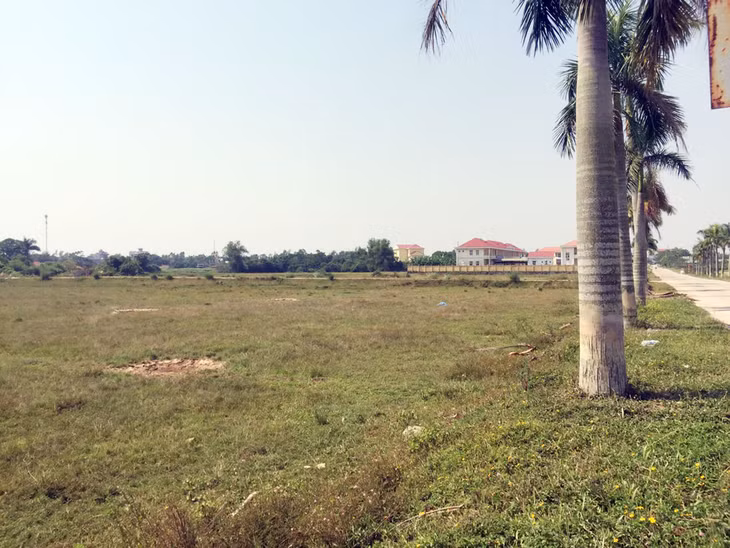 Hiện nay 14/17 xã, phường sản xuất nông nghiệp của thành phố Móng Cái tình trạng bỏ hoang đất nông nghiệp vụ đông xuân 