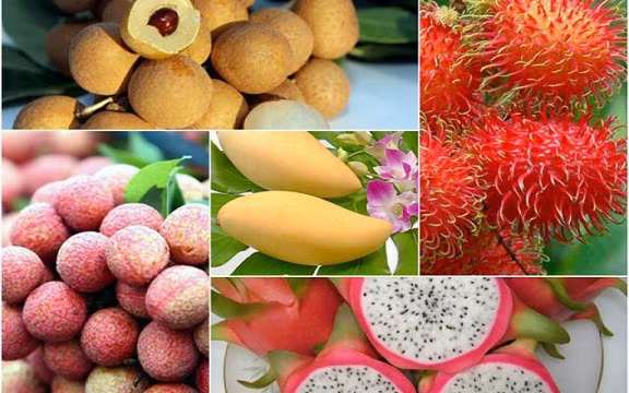 90% nông sản của Việt Nam vẫn xuất khẩu dưới dạng thô. (Ảnh minh họa: KT)