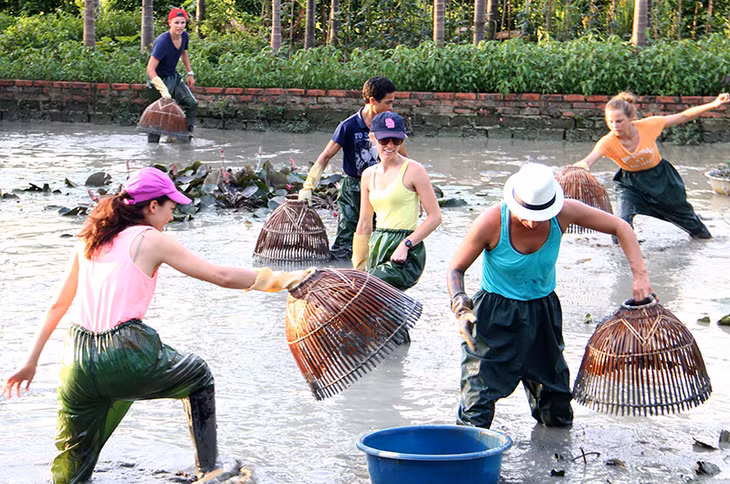 Khách du lịch trải nghiệm đánh bắt cá bằng nơm theo cách truyền thống tại Khu du lịch làng quê Yên Đức (Đông Triều).