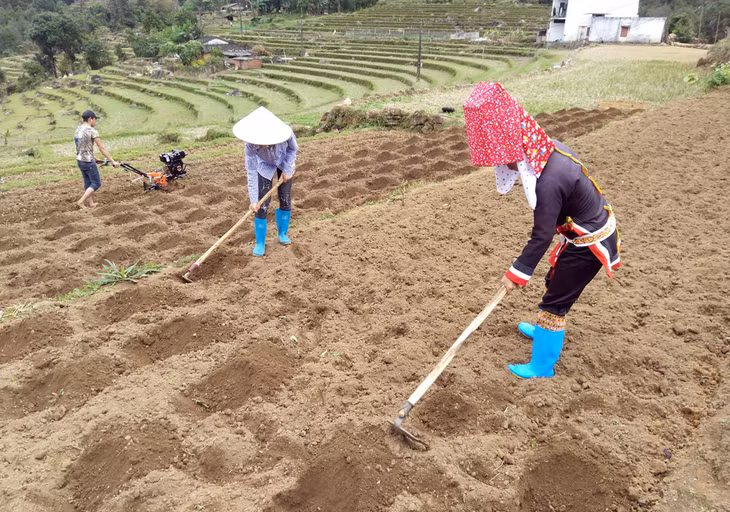 Bằng vốn vay ưu đãi của Ngân hàng CSXH, nhiều hộ nghèo, cận nghèo, hộ vùng khó khăn đã có vốn đầu tư máy móc, thiết bị phục vụ sản xuất (Trong ảnh: người dân xã Đồng Văn, Bình Liêu chuẩn bị)