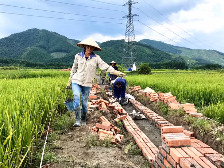 Hệ thống cơ sở hạ tầng nông thôn trên địa bàn huyện Hoành Bồ từng bước được đầu tư phục vụ hoạt động phát triển sản xuất.
