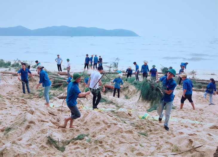 Huyện đoàn Hải Hà đã huy động 100 công giúp đỡ xã Cái Chiên trồng trên 1km đường hoa tại thôn Đầu Rồng.
