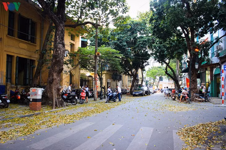 Vẻ đẹp Hà Nội hấp dẫn du khách quốc tế.