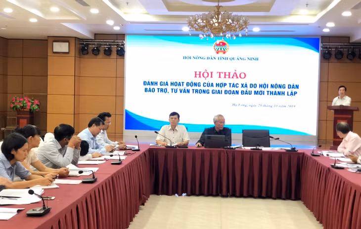 Quang cảnh hội thảo