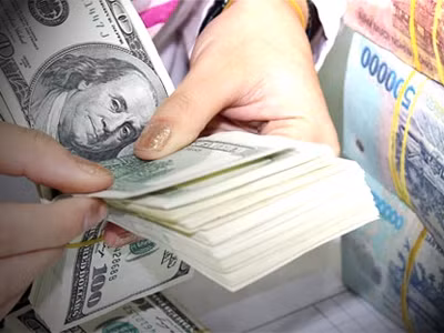 TS. Trịnh Quang Anh dự tính mục tiêu giữ ổn định tỷ giá USD/VND năm 2014 vẫn tiếp tục trong khoảng 2-3%. Và ông cũng nhìn nhận Ngân hàng Nhà nước chỉ còn “chút xíu” dư địa lãi suất tiền gửi USD để phòng thân, đặt trong yêu cầu bình ổn lãi suất VND và giữ chênh lệch hấp dẫn..