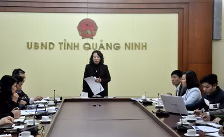 Đồng chí Vũ Thị Thu Thủy, Phó Chủ tịch UBND tỉnh kết luận cuộc họp.