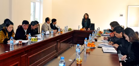 Đồng chí Vũ Thị Thu Thuỷ, Phó Chủ tịch UBND tỉnh kết luận buổi làm việc.