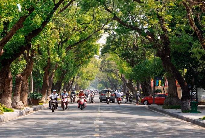 Thừa Thiên Huế đã triển khai hàng loạt mô hình như "Huế - thành phố bốn mùa hoa", "Dòng Hương trong xanh", "Tuyến đường sáng - xanh - sạch - đẹp - trật tự trị an" để giữ môi trường xanh. Huế là một trong số ít thành phố của Việt Nam vẫn giữ được hệ thống cây xanh cổ thụ trên các đường phố.