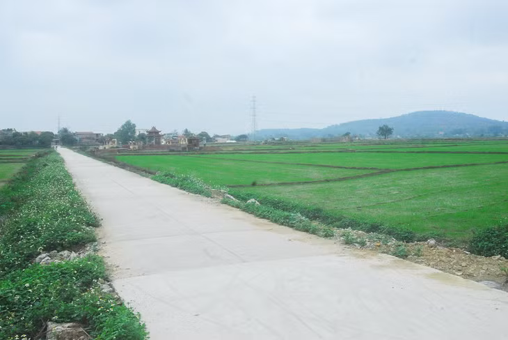 Cánh đồng mẫu tại xã Bình Dương (TX Đông Triều) có đường giao thông rộng, thuận tiện cho việc cơ giới hóa sản xuất, vận chuyển sản phẩm nông nghiệp tận đồng.