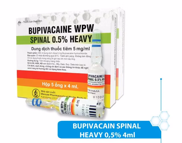 Thuốc gây tê tủy sống Bupivacaine WPW Spinal 0,5 Heavy.
