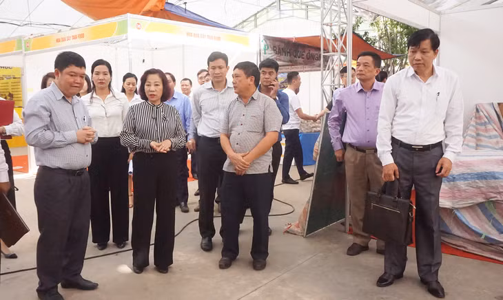 đồng chí Vũ Thị Thu Thủy, Phó Chủ tịch UBND tỉnh 