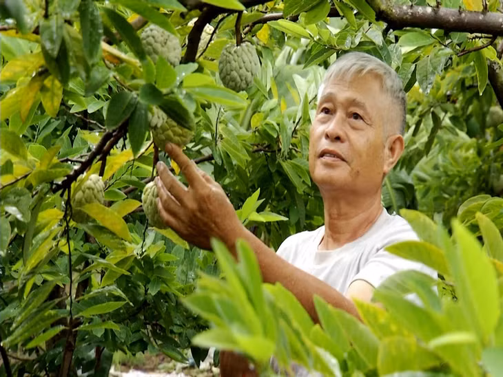 Người dân xã Việt Dân