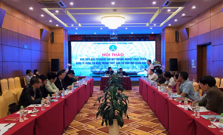 Toàn cảnh hội thảo.