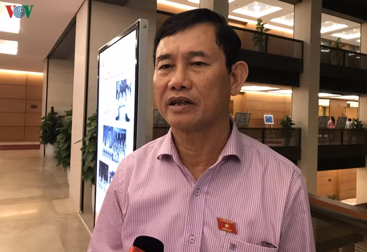 Đại biểu Nguyễn Ngọc Phương (đoàn Quảng Bình).
