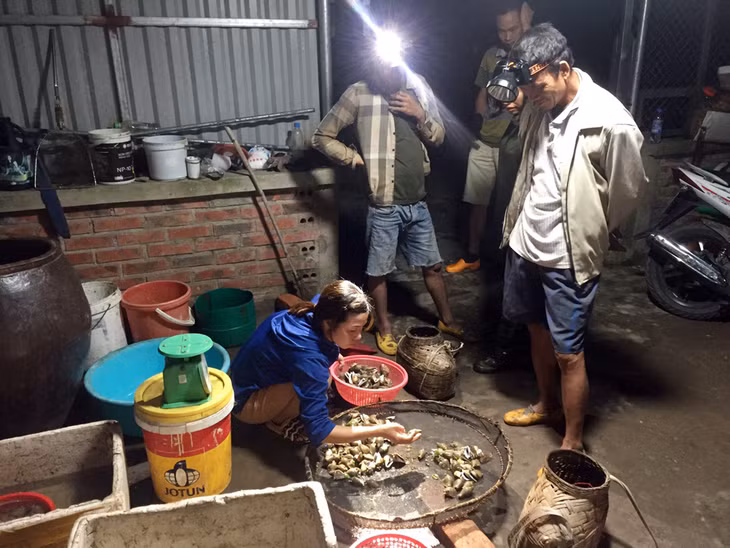 Ngoài ruốc, bề bề thì ốc hương, ốc gai, ốc nón cũng là 
