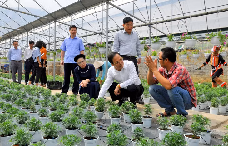 Phó Chủ tịch Thường trực UBND tỉnh Đặng Huy Hậu kiểm tra mô hình phát triển kinh tế mới tại thôn Cao Sơn, xã Hoành Mô.