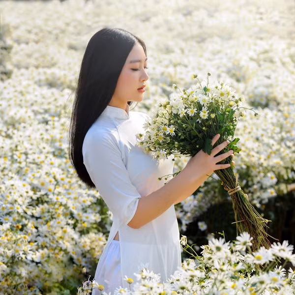Áo dài trắng là một trong những loại trang phục được nhiều bạn trẻ lựa chọn khi chụp ảnh cùng cúc họa mi, bởi sự duyên dáng mà tà áo dài này mang lại.
