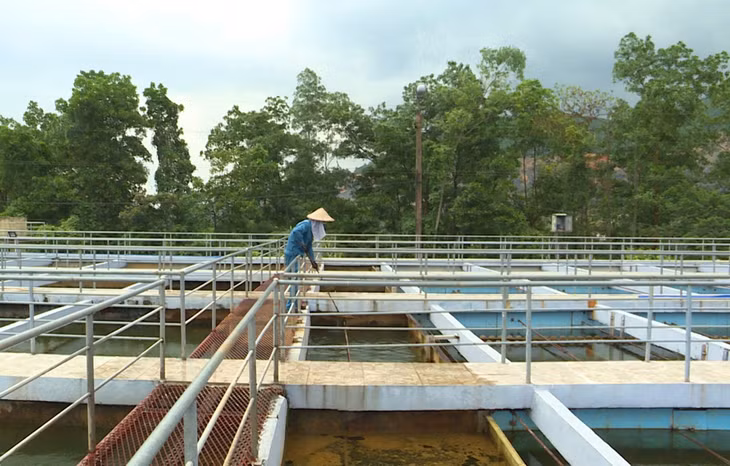 Nước sạch được xử lý tại nhà máy nước