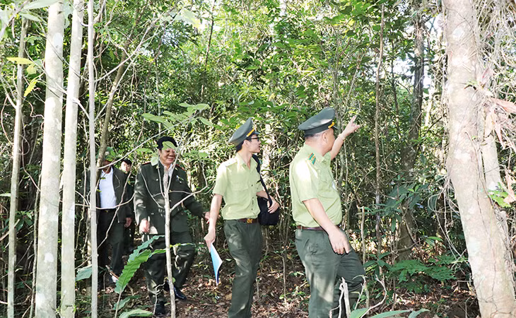 đi bộ hay xe đạp trong lòng rừng, khám phá, nghiên cứu cây cỏ, muông thú thiên nhiên, tận hưởng không gian khoáng đạt, không khí trong lành, hoà mình vào đất trời… thực sự rất thú vị