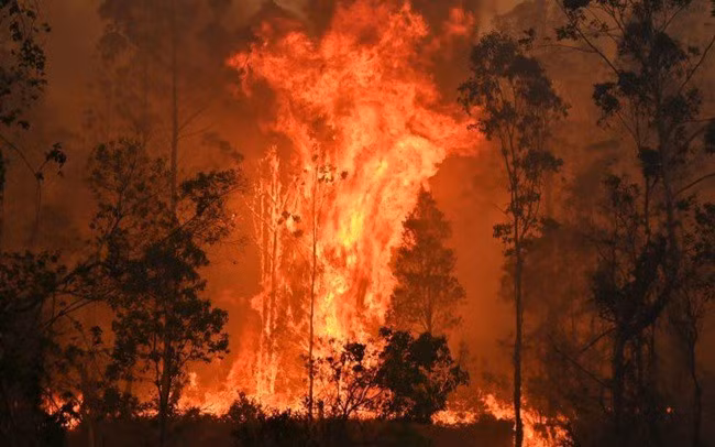 Cháy rừng ở Australia. Ảnh: Sky News.
