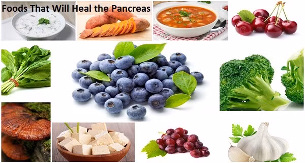 Những thực phẩm bổ tụy