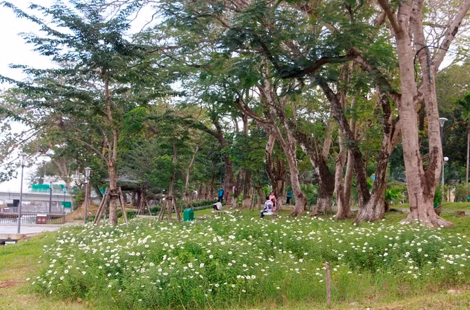 Công viên Lý Tự Trọng, công viên 3/2, công viên Thương Bạc, công viên Phú Xuân dọc bờ sông Hương dày đặc cây xanh. Ngoài cây xanh, hoa cũng được trồng thêm tại các công viên để tạo cảnh quan, không gian công cộng cho người dân.