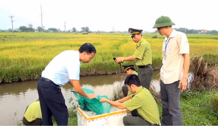 Lực lượng kiểm lâm huyện Hải Hà phối hợp với xã Quảng Thành xử lý tình trạng săn bắt chim di cư.