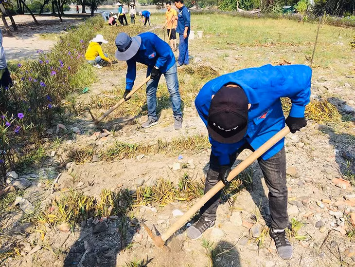 ĐVTN phường Cẩm Sơn, TP Cẩm Phả trồng hoa tại khu phố Cao Sơn 2.