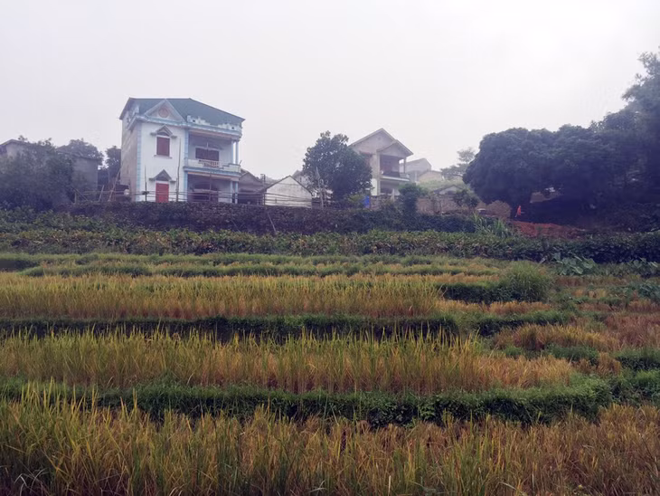Một góc thôn Khe Lặc, xã Đại Thành.