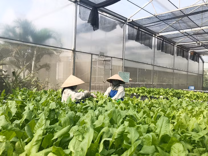 Công ty CP Đầu tư xây dựng và thương mại 188, TX Đông Triều áp dụng các thiết bị kỹ thuật, công nghệ để nâng cao chất lượng sản phẩm. 