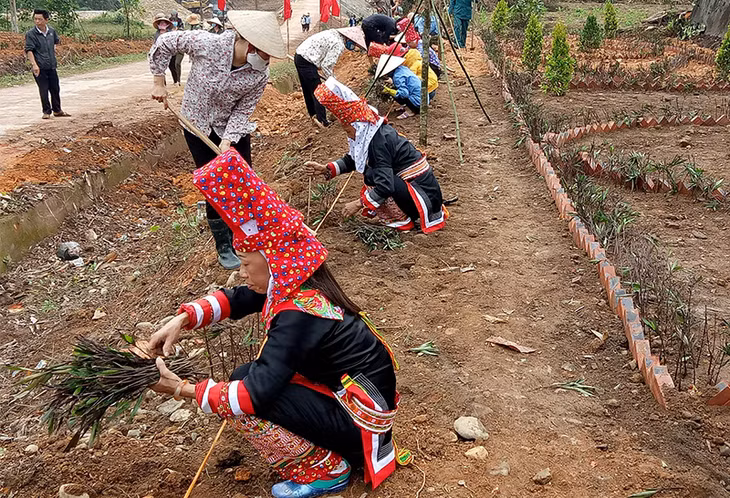 Nhân dân xã Quảng Lâm, huyện Đầm Hà hăng hái tham gia trồng hoa hai bên đường liên xã. 