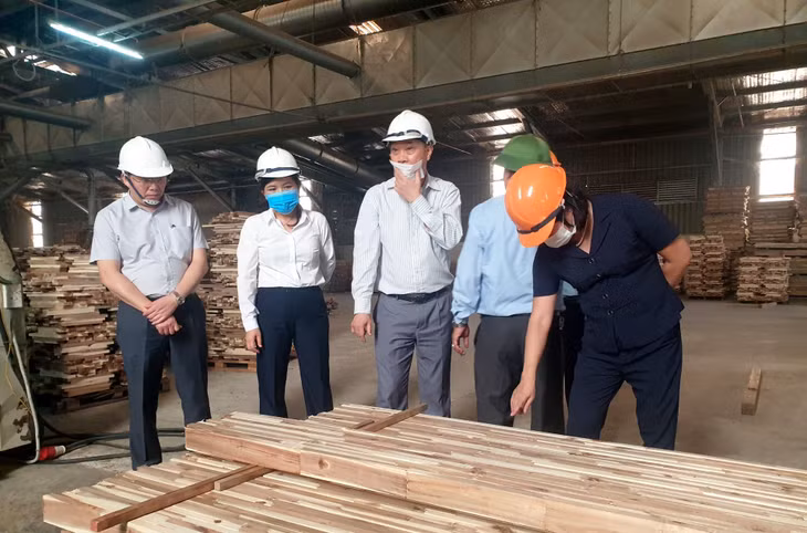 Đồng chí 