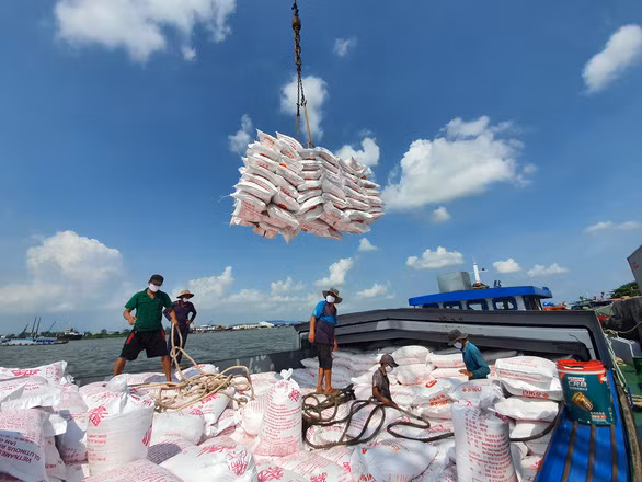 Gạo được đưa tới cảng Mỹ Thới (An Giang) để đóng container đưa đi xuất khẩu.