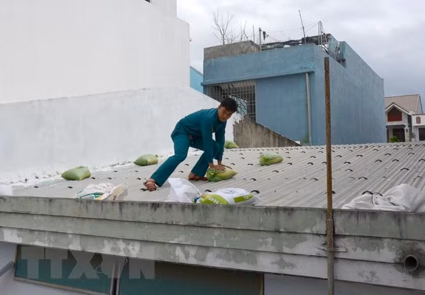 Các thành viên tổ xung kích không ngại khó khăn, nguy hiểm hỗ trợ người dân Đà Nẵng ứng phó cơn bão số 13. (Ảnh: Quốc Dũng/TTXVN)