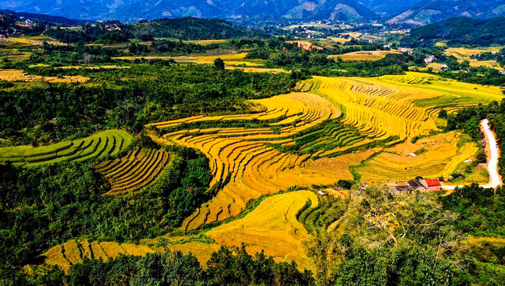 Ruộng bậc thang xã Lục Hồn - Ảnh: Đỗ Phương