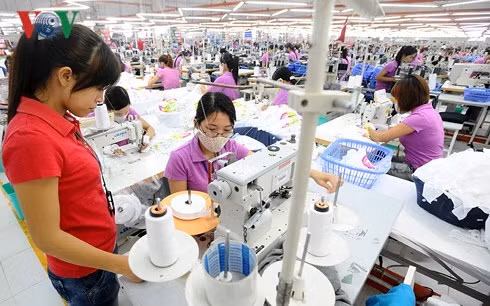 Xuất xứ hàng hóa là một trong những thách thức lớn của Việt Nam khi tham gia CPTPP.