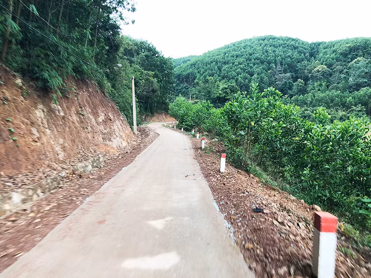 tuyênđường