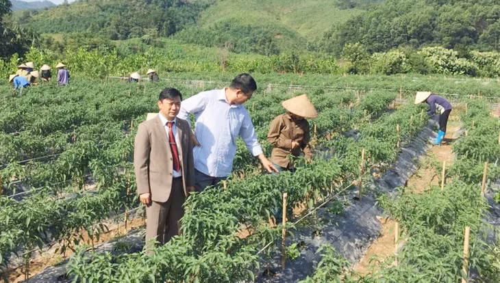 Ông Lý Văn Diểng thăm mô hình ớt chỉ thiên ở bản...