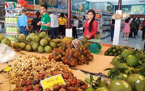 Nông sản Việt vào hệ thống thương mại với giá thành cao rất khó cạnh tranh với sản phẩm nhập ngoại.