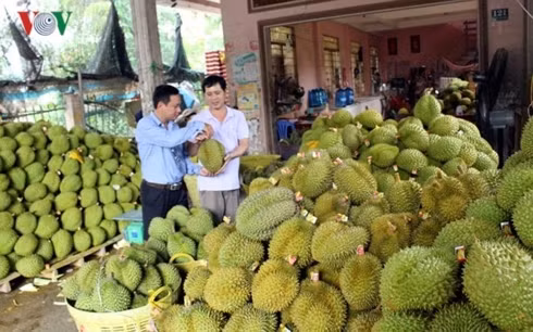 Xuất khẩu 10 tháng năm 2018 khởi sắc.