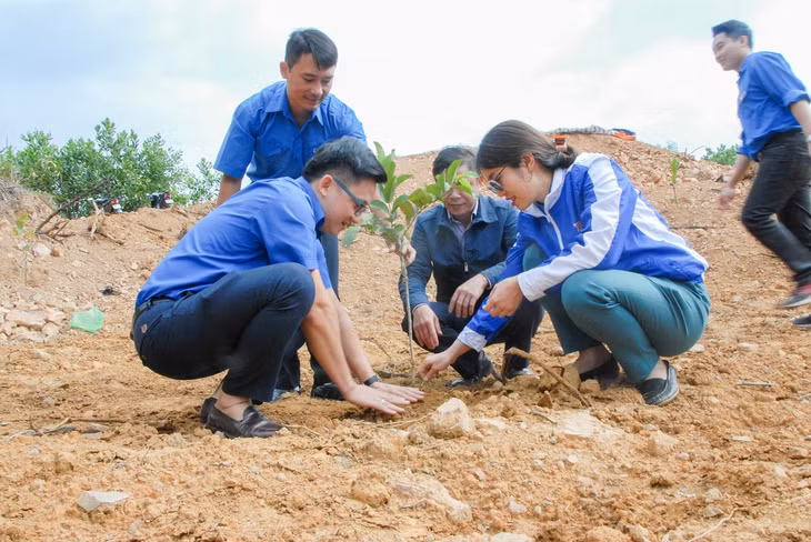 Cây ổi giống được Trung tâm khuyến nông tỉnh tư vẫn lựa chọn.