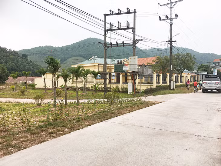 Dọc tuyến đường liên thôn xã Cẩm Hải, TP Cẩm Phả được trồng cây xanh.