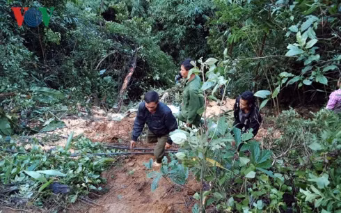 Công an huyện Điện Biên Đông triển khai các lực lượng xuống hiện trường vụ xe tải chở nông sản lao xuống vực.
