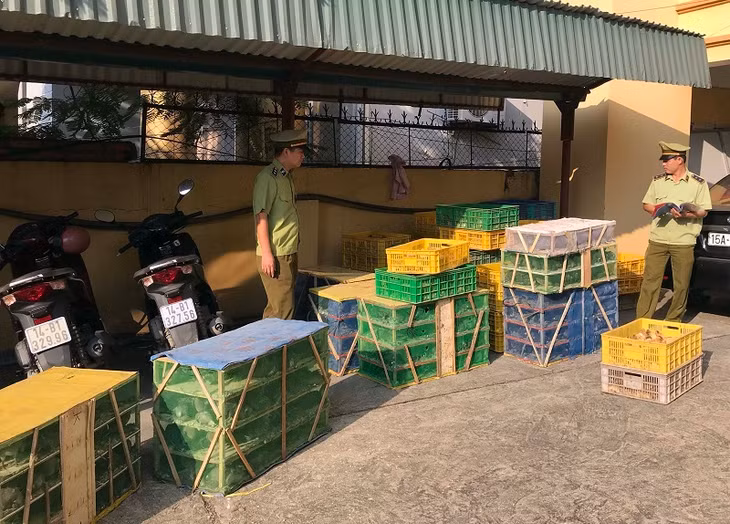 Tang vật do Đội QLTT số 1 phát hiện, thu giữ.