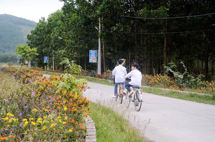 Tuyến đường hoa xanh, sạch, đẹp của thôn 2, xã Quảng La, huyện Hoành Bồ.
