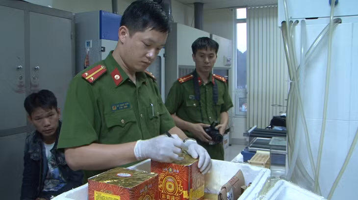 Luc luong chuc nang giam dinh so phao thu giu