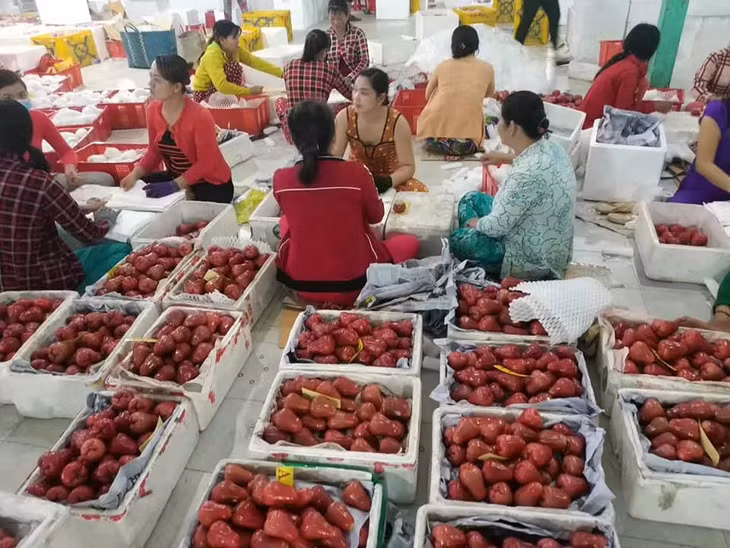 Đối với an toàn thực phẩm, hóa chất rất quan trọng trong quá trình sản xuất - Ảnh: VGP/Đỗ Hương