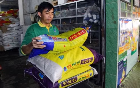 Giá phân bón tăng mạnh thời gian gần đây.