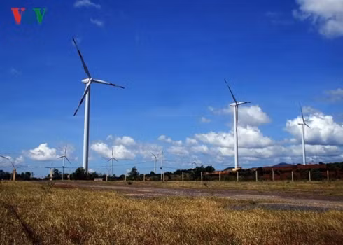 Năng lượng điện mặt trời, điện gió được Việt Nam đưa ra đã thu hút nhiều nhà đầu tư nước ngoài.
